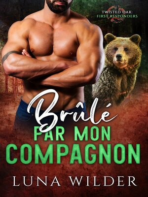 cover image of Brûlé par mon Compagnon